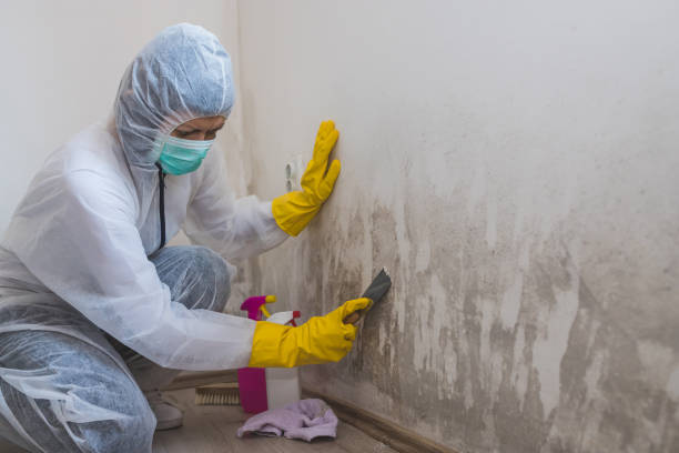 Mold Remediation for Rental Properties in Jordan, MN