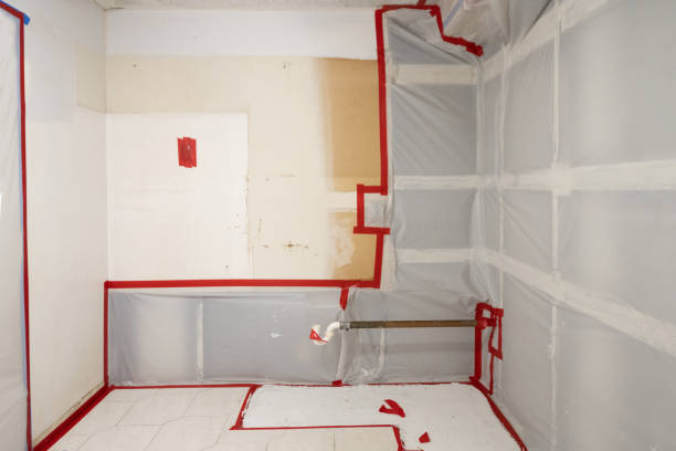Best Indoor Air Quality Assessment  in Jordan, MN
