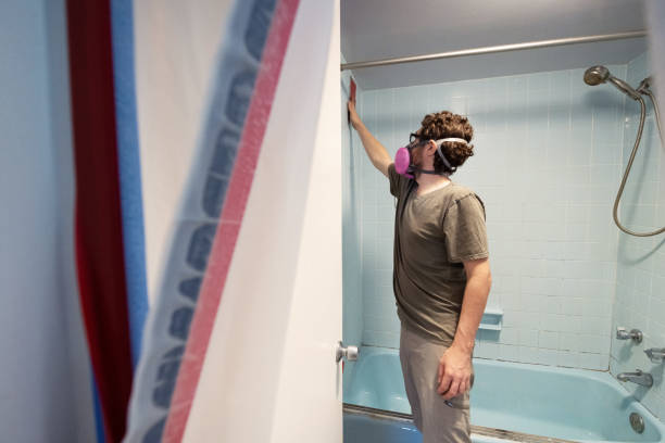 Reliable Jordan, MN Mold Removal Solutions