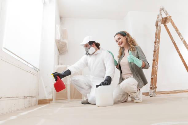 Best HVAC Mold Inspection and Cleaning  in Jordan, MN